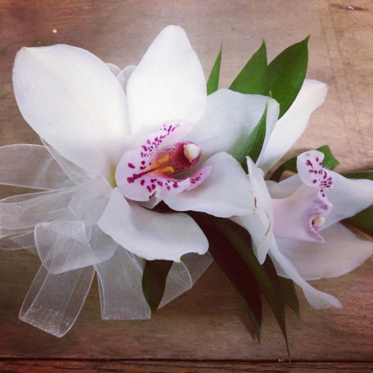 Cymbidium Orchid Corsage By Dolly S Florist