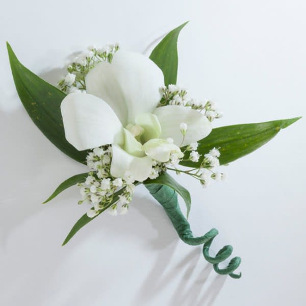 White Dendrobium Orchid Boutonniere In Miami Fl Dolly S Florist
