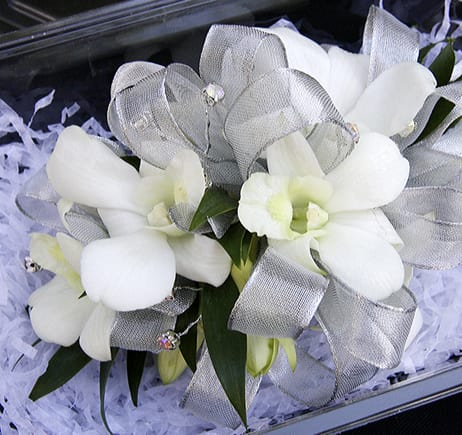 Dendrobium Orchid Corsage In Miami Fl Dolly S Florist