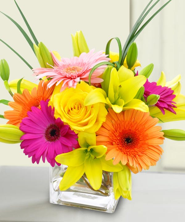 Bright and Stunning by Gordon Boswell Flowers