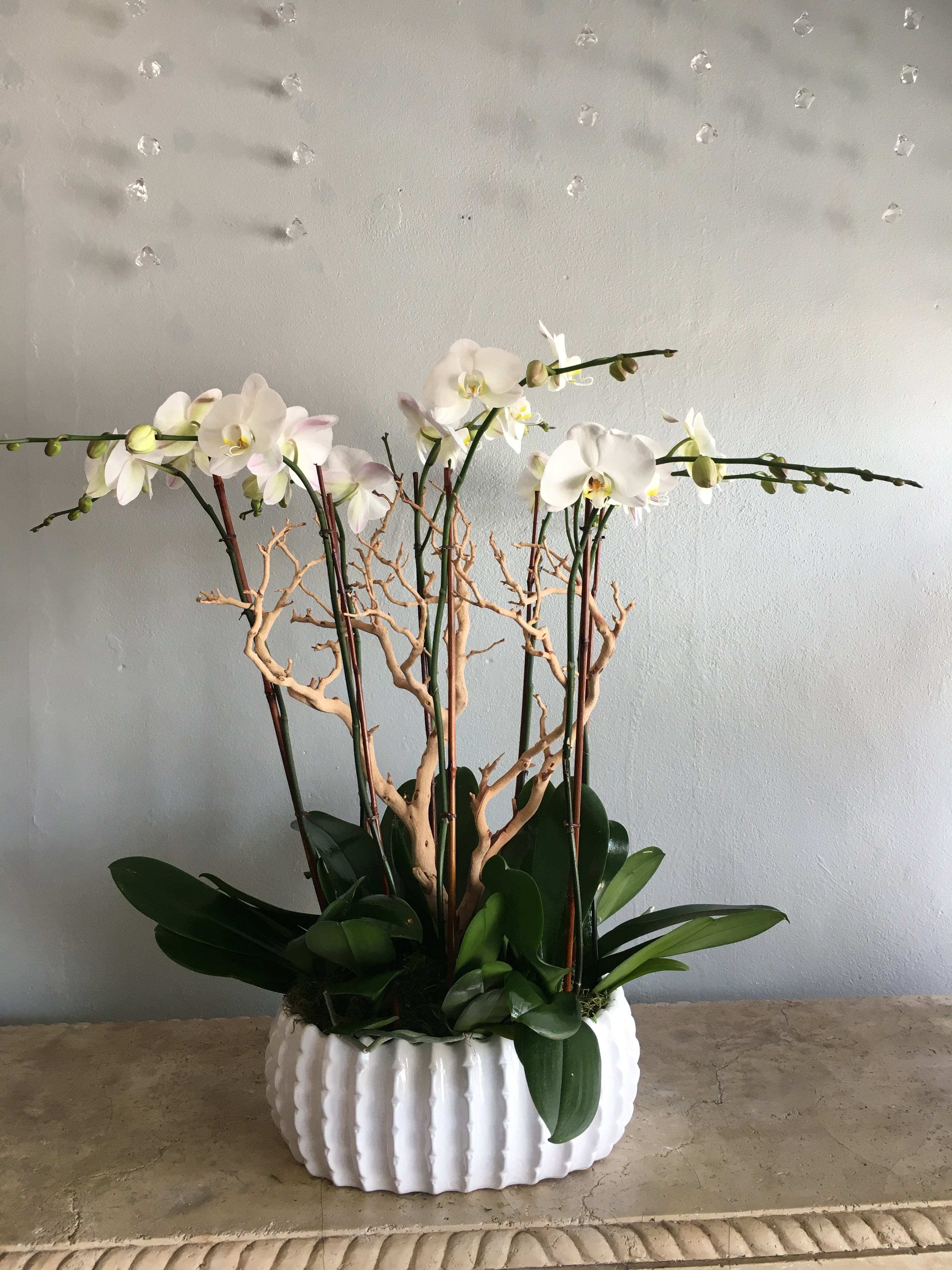 Orchid Centerpiece In West Palm Beach Fl Burst Of Class Florist