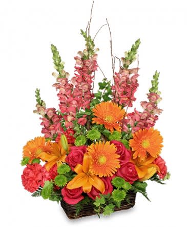 Snap Dragons Gerbera Daisies Lilies And More In Hampton Falls Nh Flowers By Marianne,What Is Nutmeg Used For In Baking