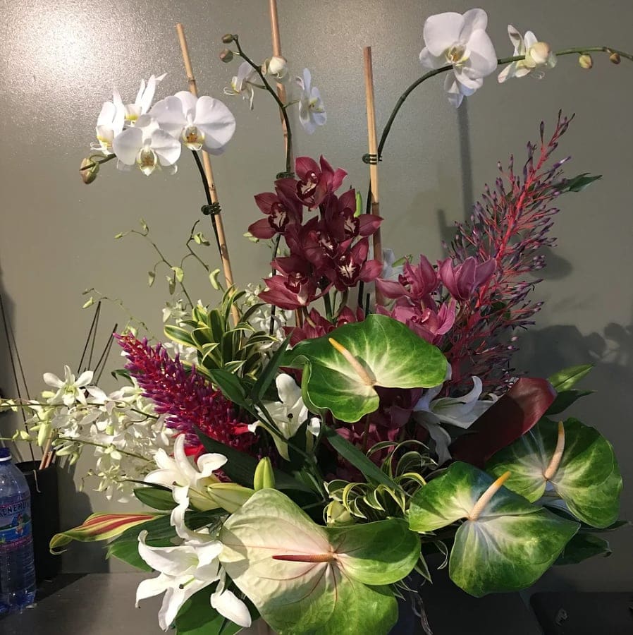Phalaenopsis Orchids And Tropical Mix Basket In Honolulu Hi Stanley Ito Florist