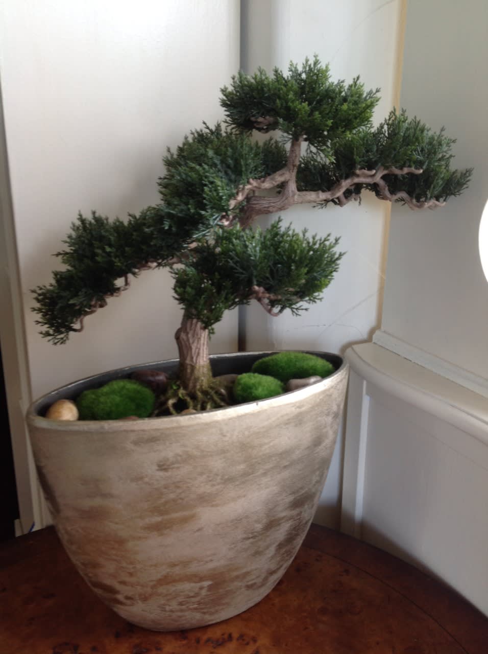 Silk Bonsai Tree In Reno Nv Devonwoods