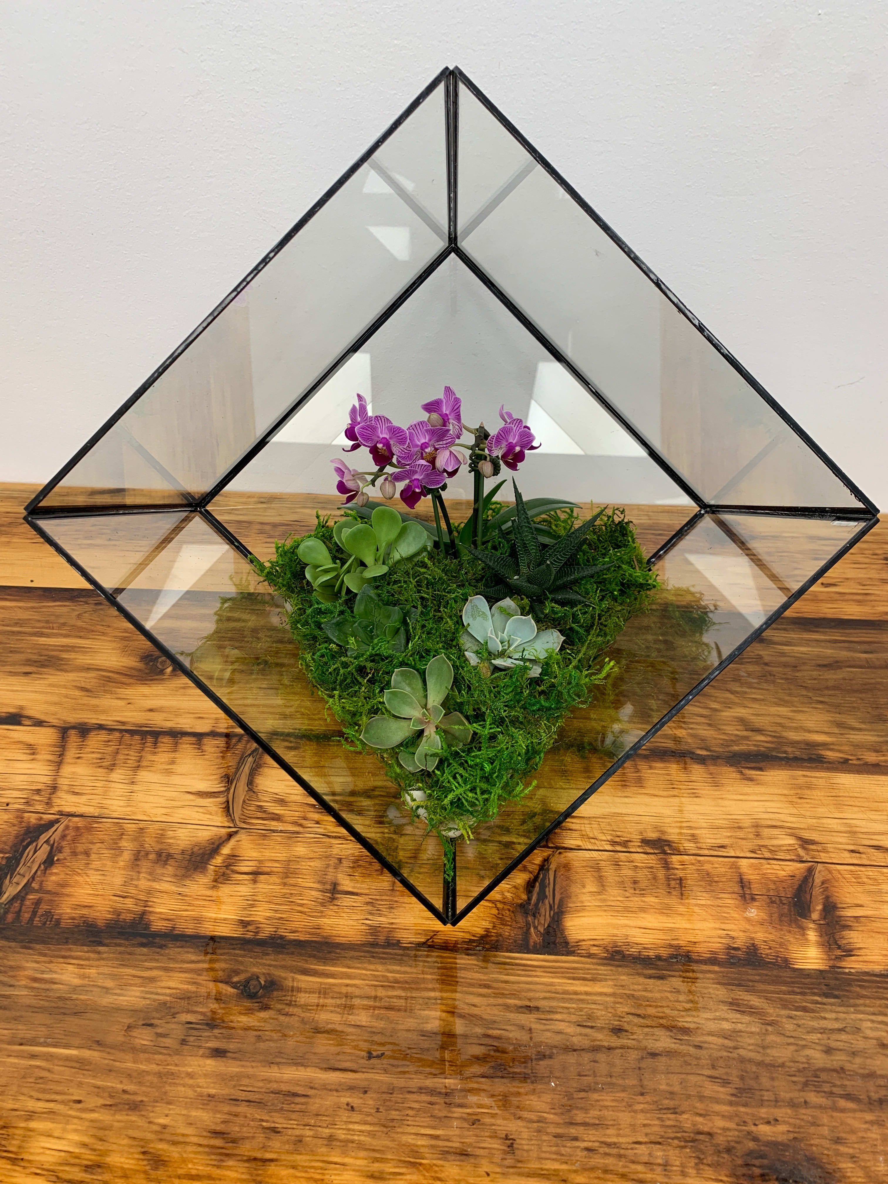 Orchid Terrarium In Great Neck Ny Dazzling Events