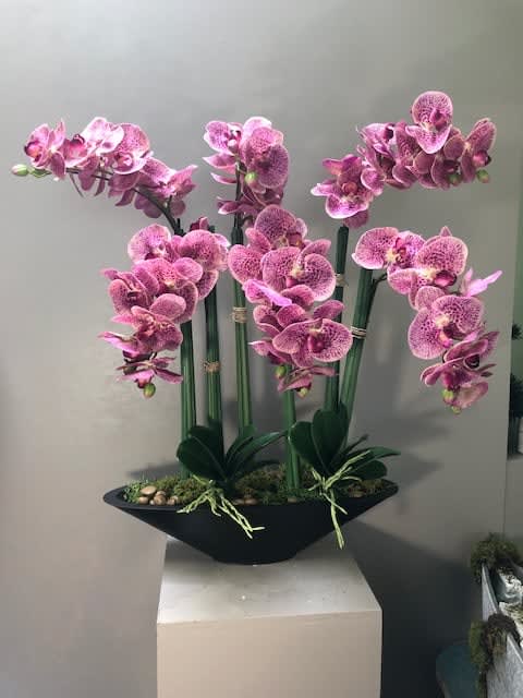Artificial Orchid Ao1 In Los Angeles Ca Effusive Flowers