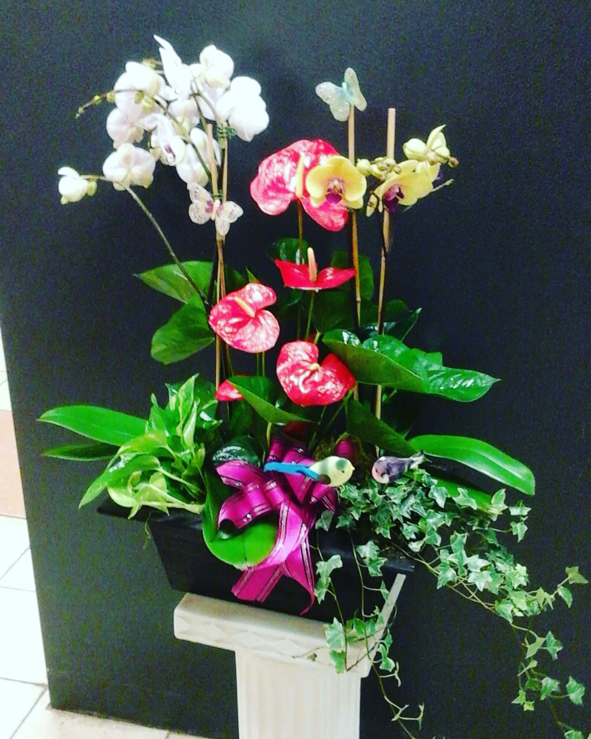 Orchid Arrangement In Oakland Ca From The Heart Florist