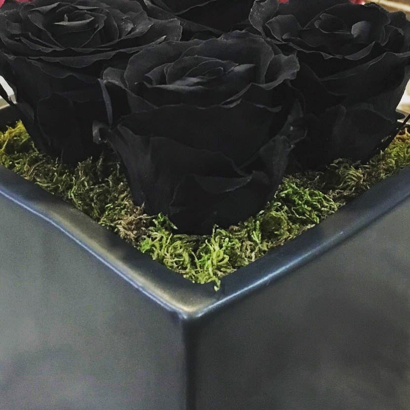 Black Phillip Forever Black Rose By Flower Power Miami