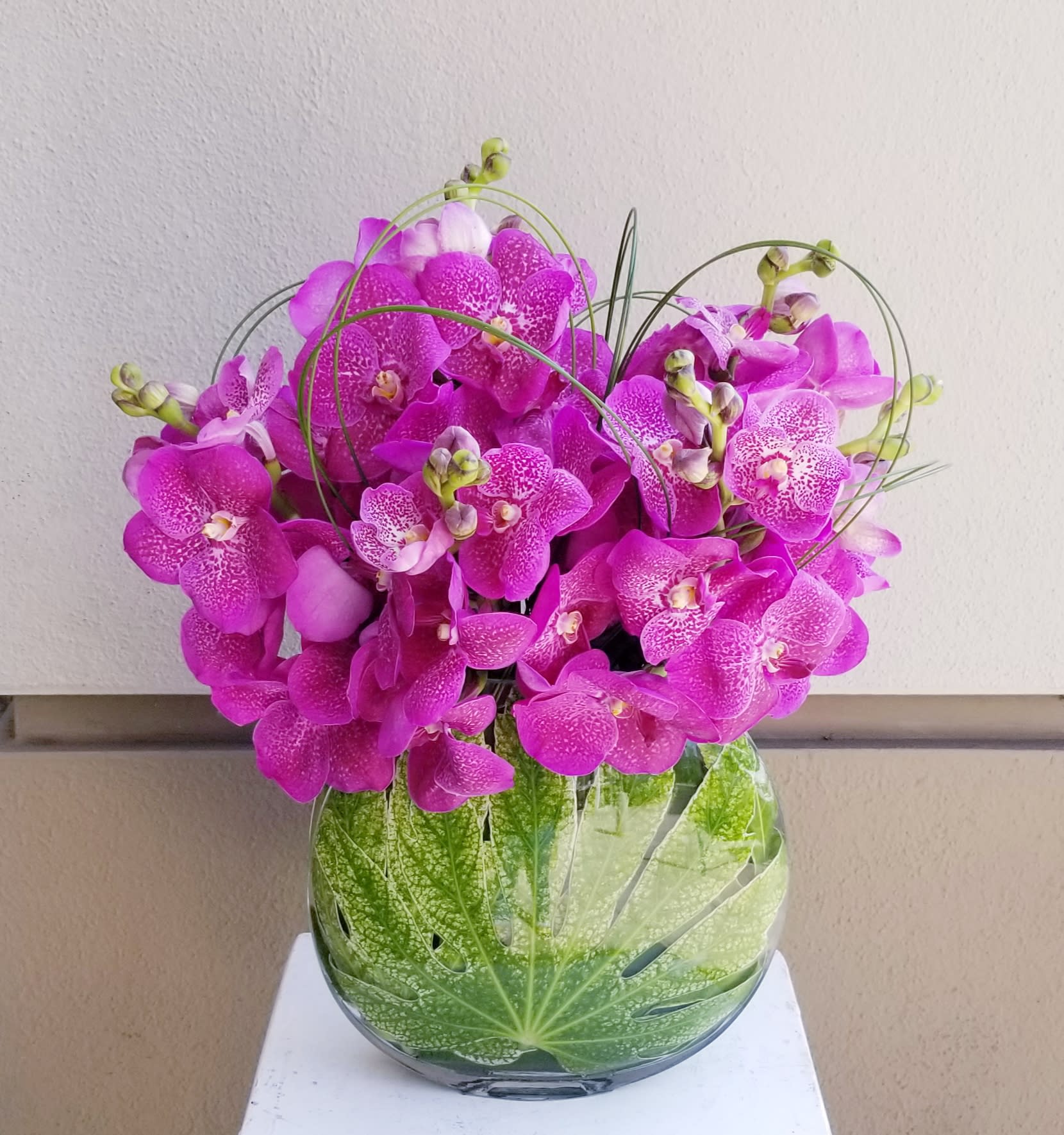 Pink Vanda Orchids In Beverly Hills Ca Apropos Floral Event Design