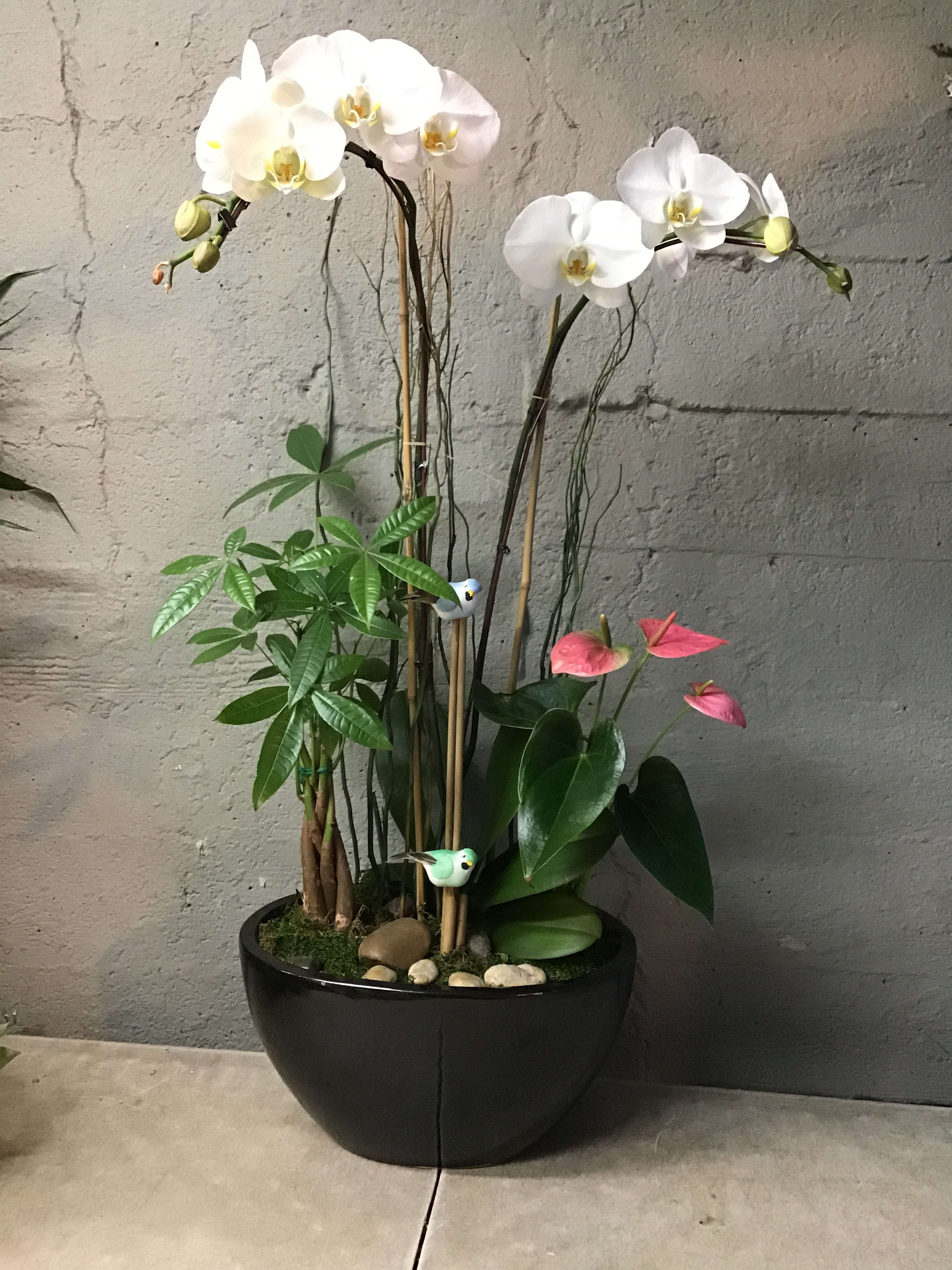 Orchid Garden By Everbloom In San Diego Ca Everbloom Flowers Inc