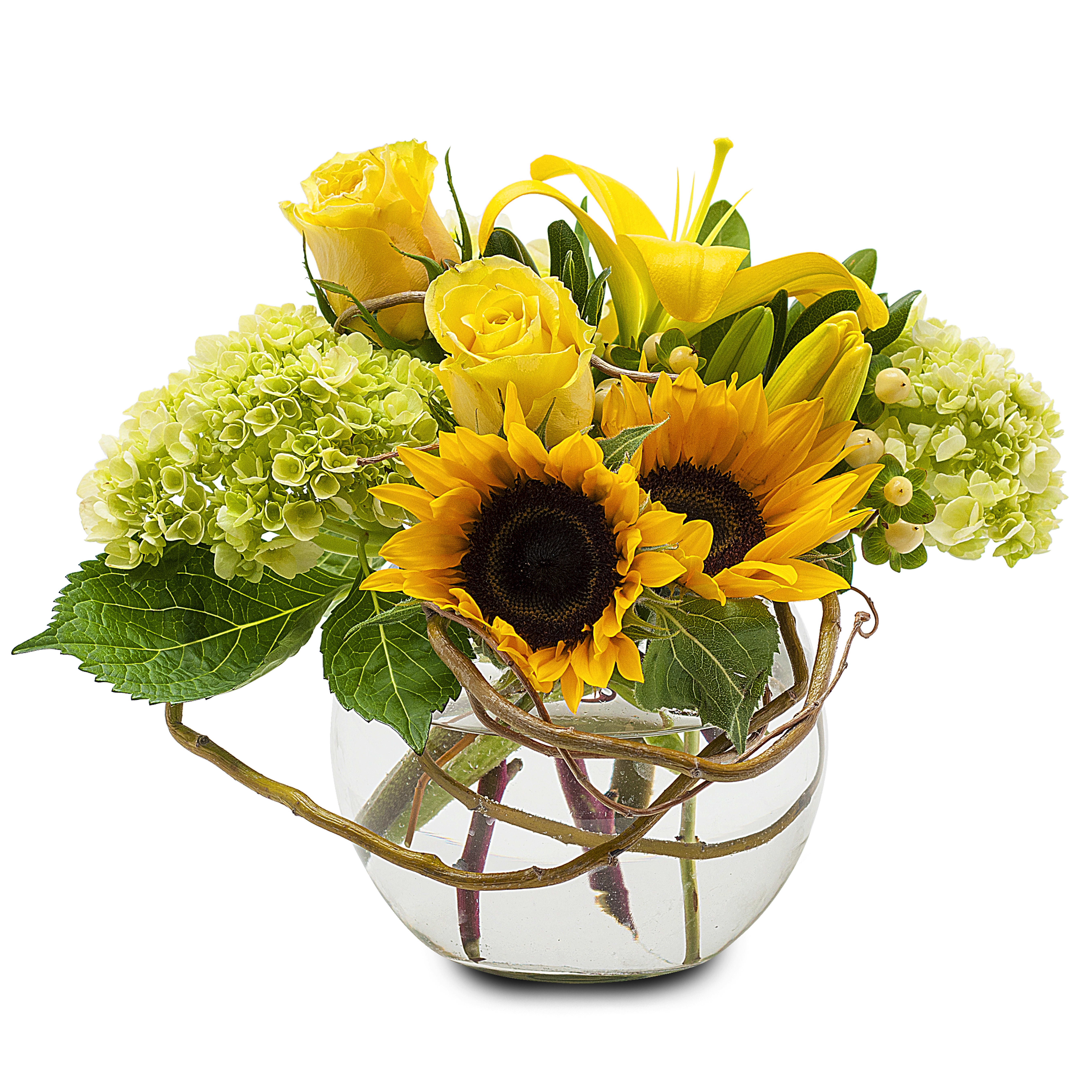 Rays Of Sunshine In Toms River Nj Flowers By Addalia