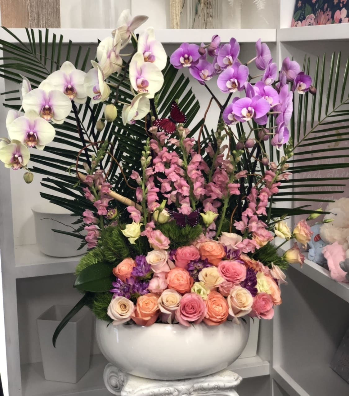 Orchid Plant And 24 Rose Design By Vnf In Van Nuys Ca Van Nuys Flower Shop