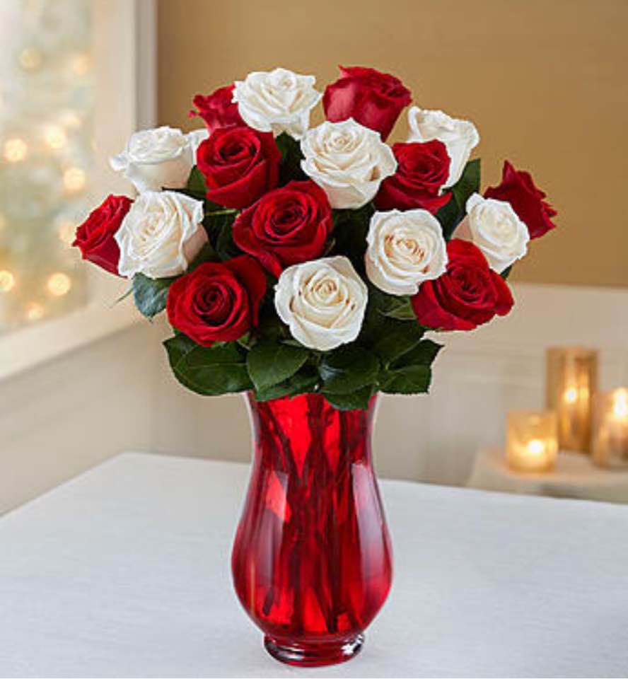 Pure Love Roses In Ipswich Ma Ipswich Hearts N Flowers