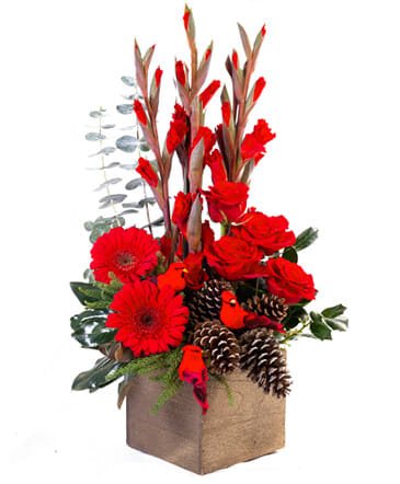 christmas flower arrangements for delivery