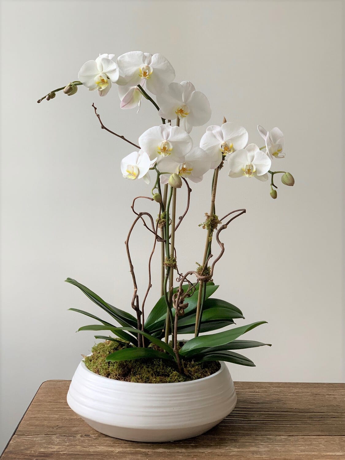 Bloom8850 Order Flowers Online Same Day Delivery New York All Over Manhattan Nyc Ny Including The Financial District By Flowers By Blooming Affairs