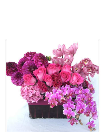 Pink Panther in Los Angeles, CA | Floral Design by Dave's ...