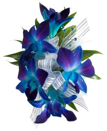 Blue Dendrobium Orchid Wrist Corsage By Designs By Don
