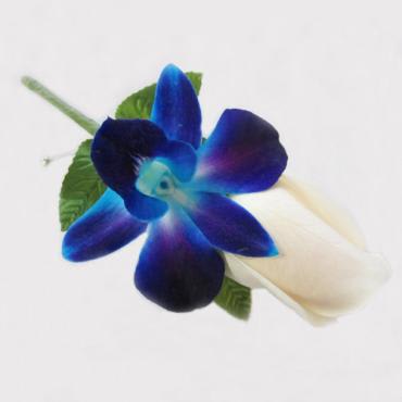 Blue Orchid Rose Boutonniere In San Jose Ca Valley Florist