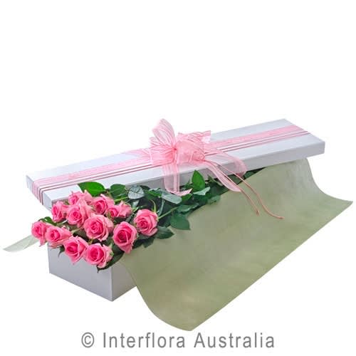 Beautiful Roses In A Box In Lafayette In Blooms Petals Fresh Flowers Event Concepts