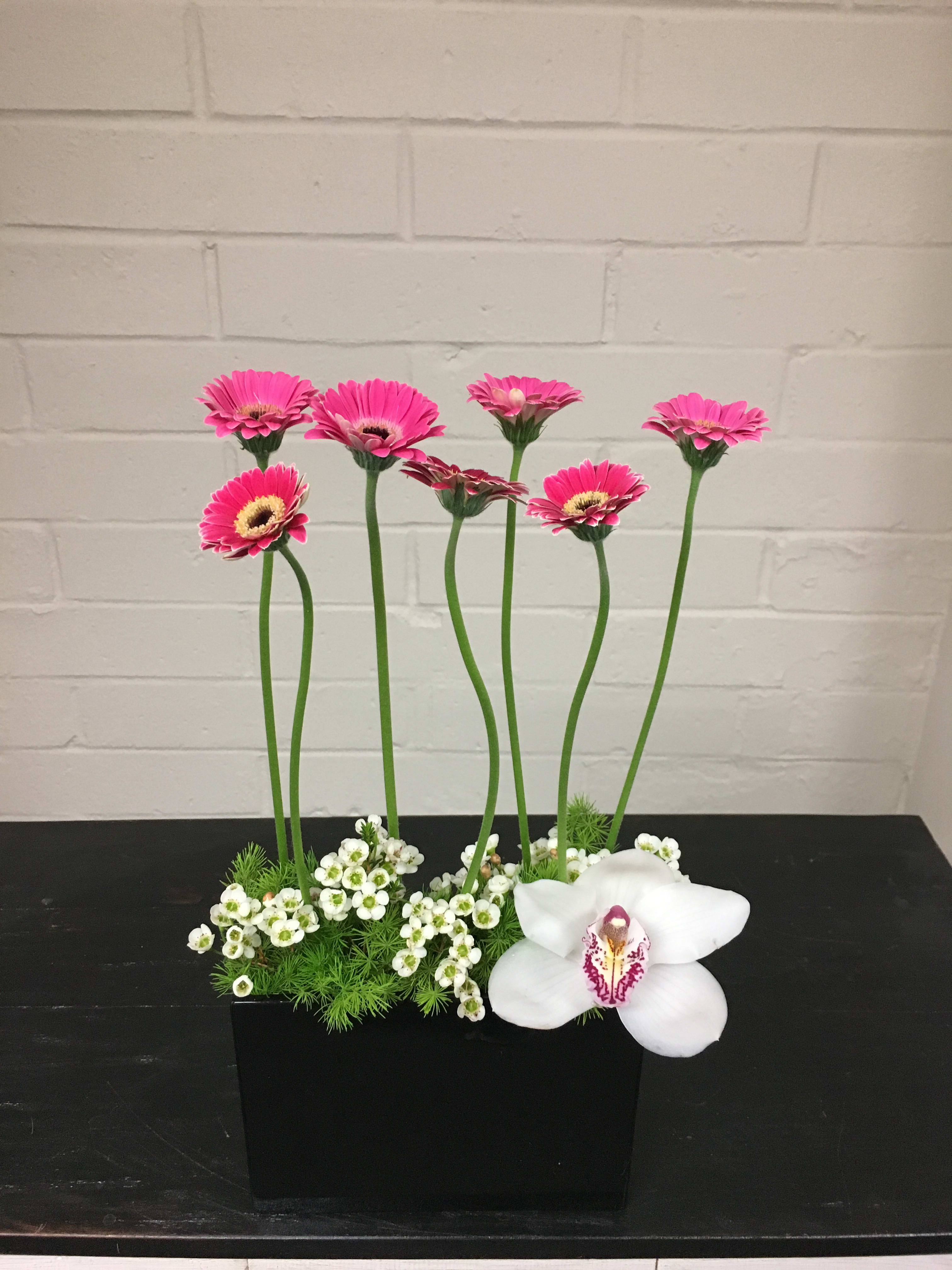 Dancing With Gerberas In Tustin Ca Zen Gardens Floral