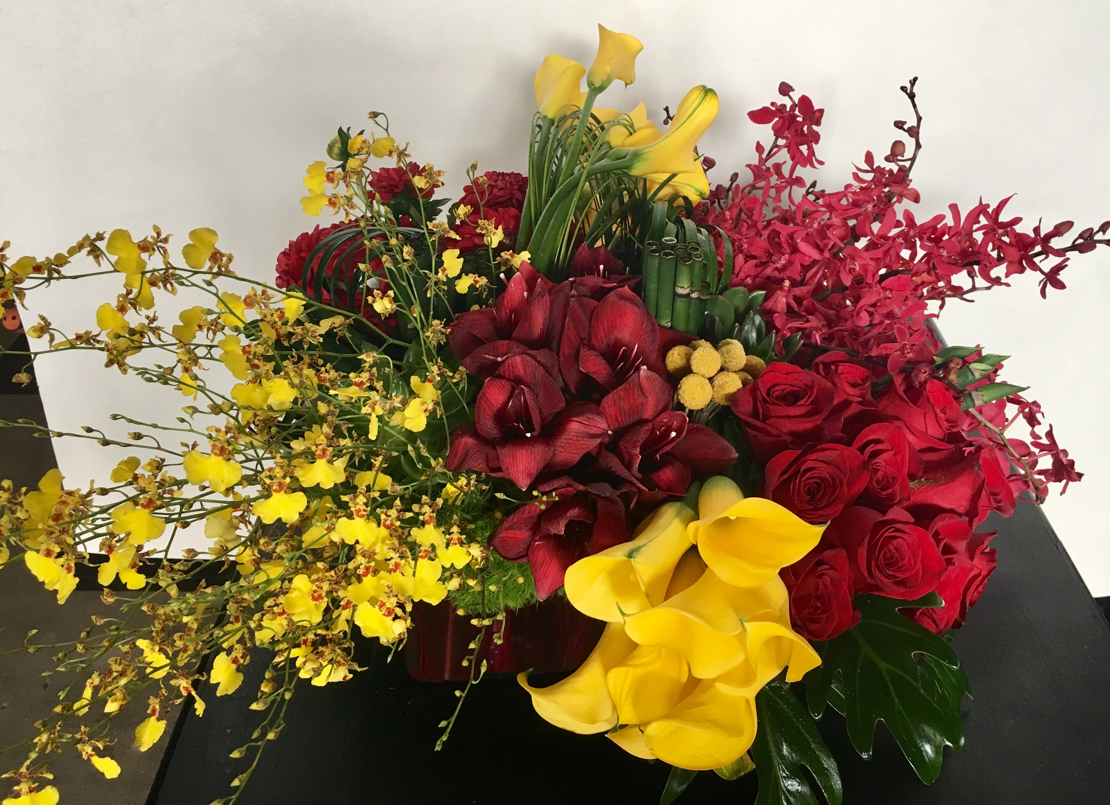 Orchids Two Ways In Los Angeles Ca Cj Matsumoto Sons