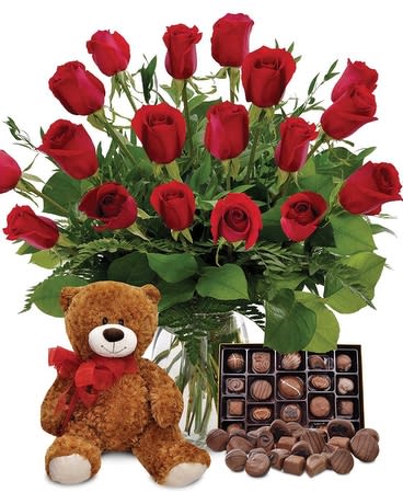 teddy bear roses real