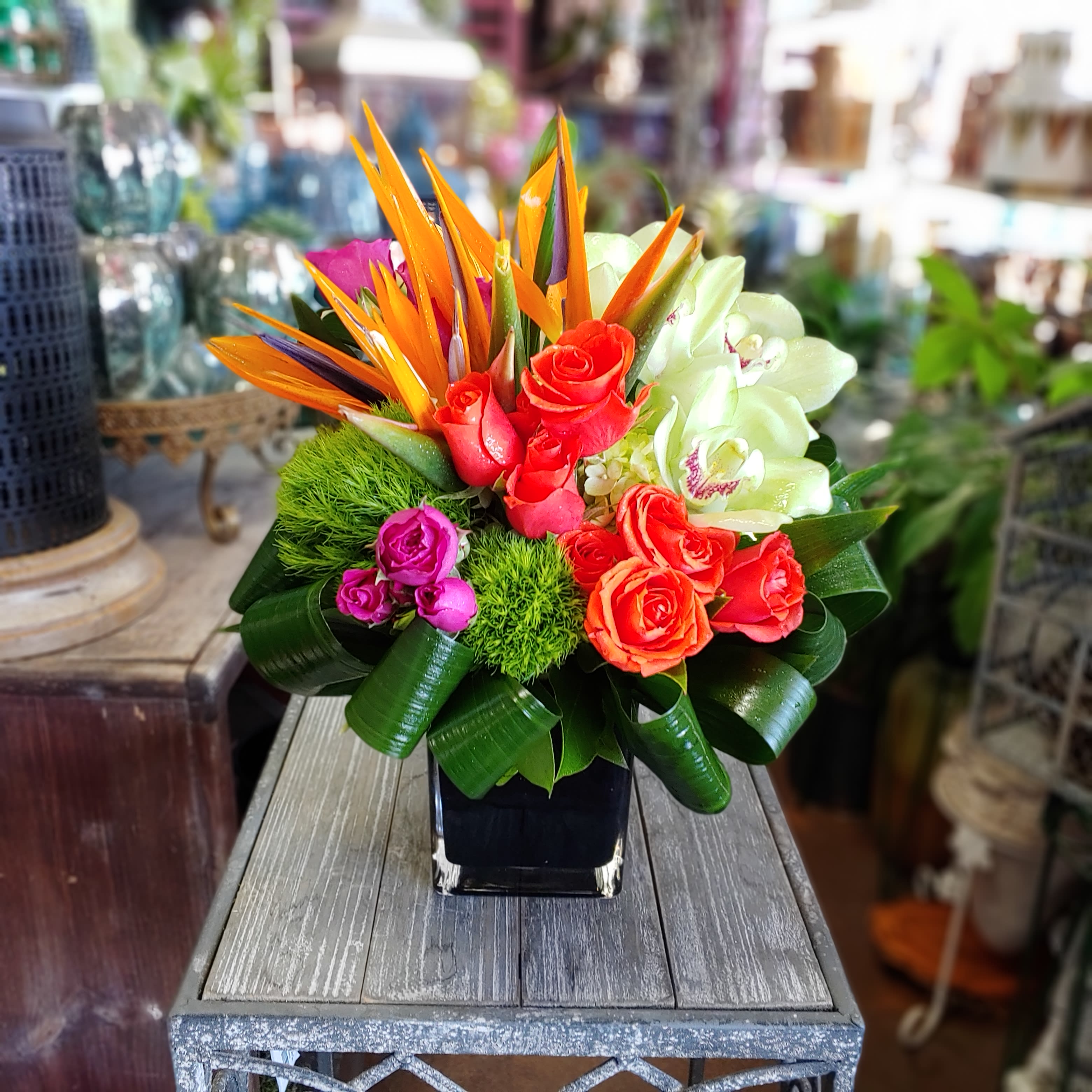 Tropical Touch in Las Vegas, NV Windmill Floral Expressions