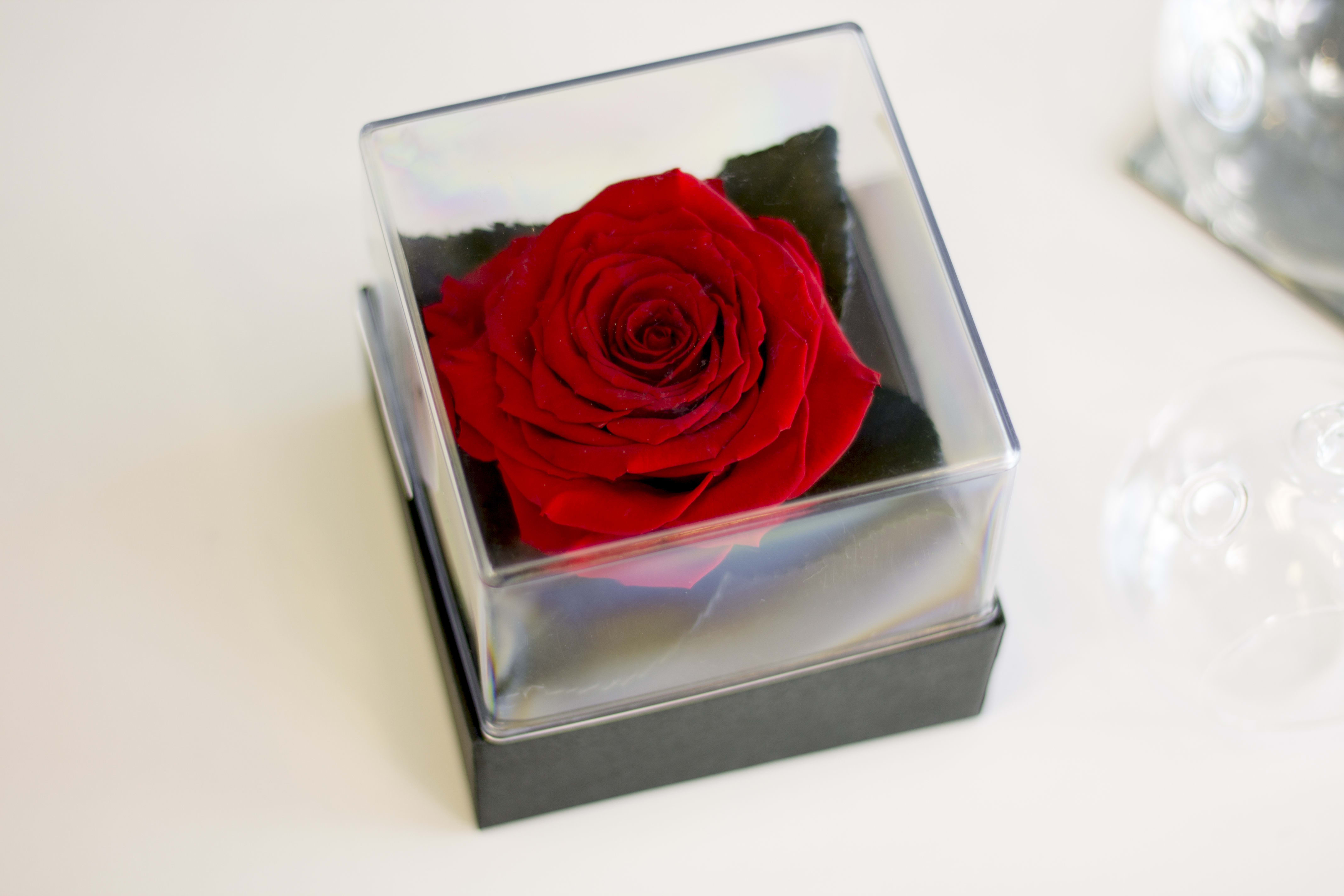 Forever Single Rose By Luxury Flowers Miami