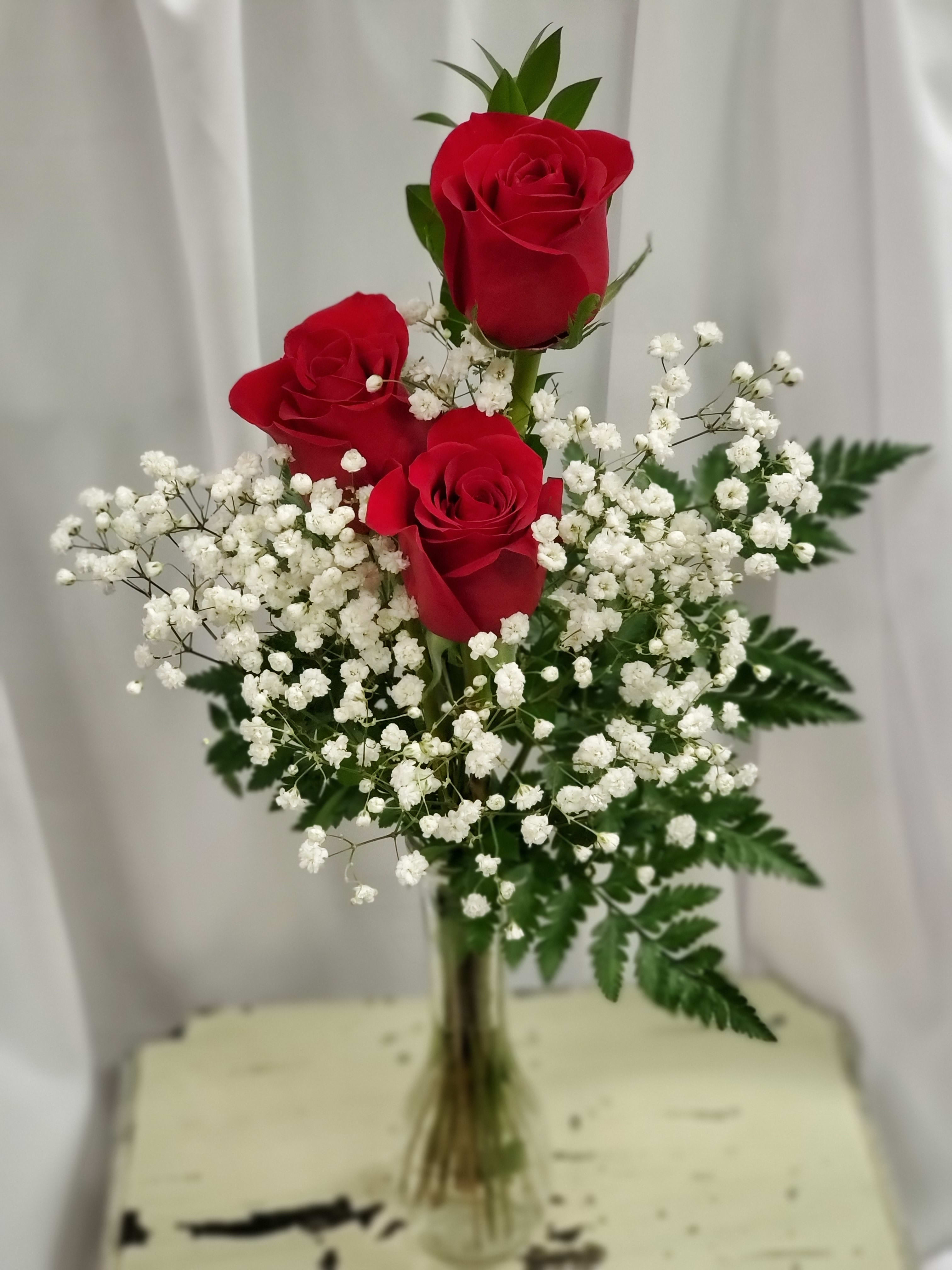 3 Roses In Toledo Oh Schramm S Flowers