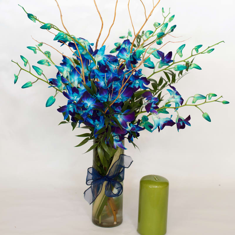 Sophisticated Blue Orchids In Fort Lauderdale Fl Brigitte S Flowers Galore