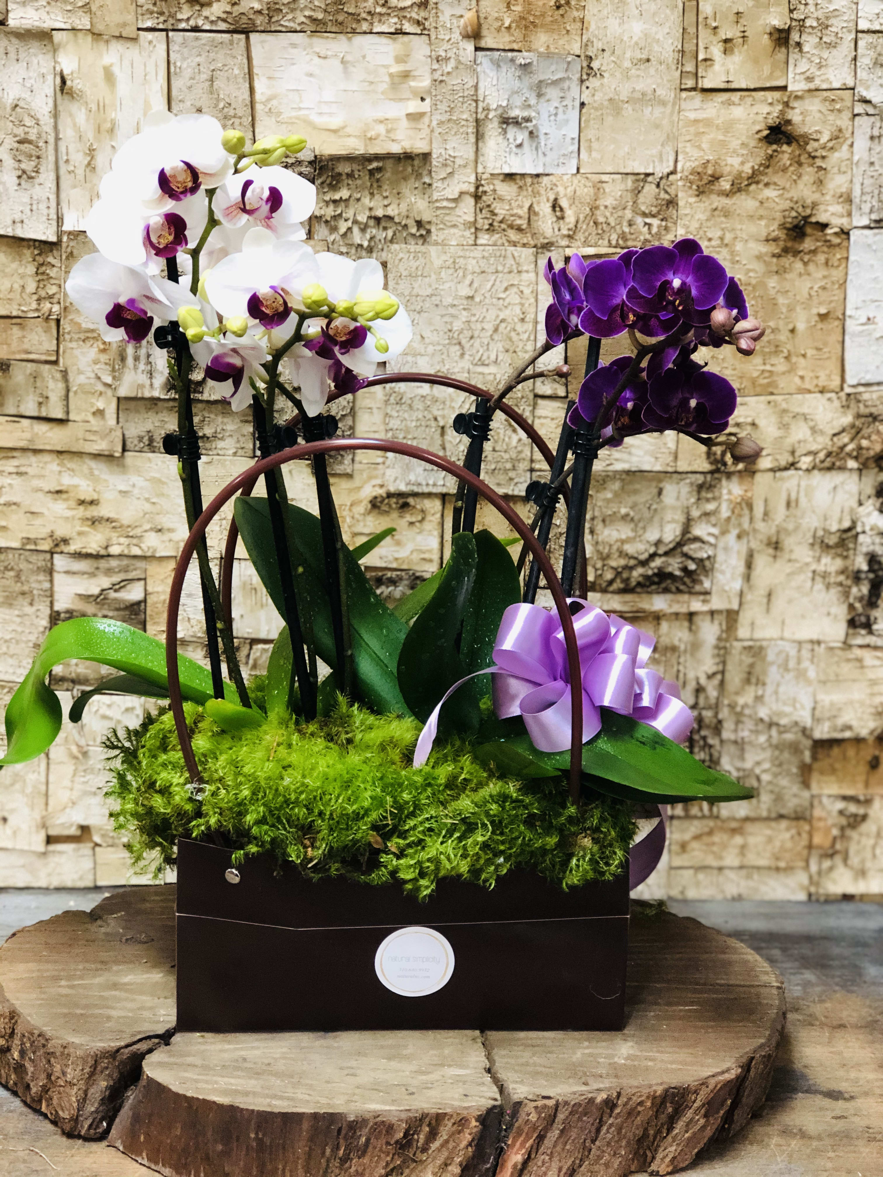 Orchids On The Go In El Segundo Ca Natural Simplicity