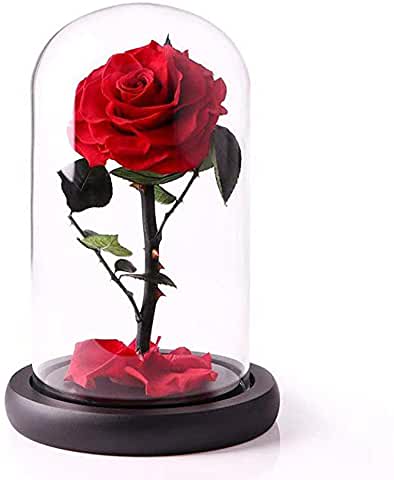 Everlasting Preserved Rose In A Glass Dome By Flowers By Emil