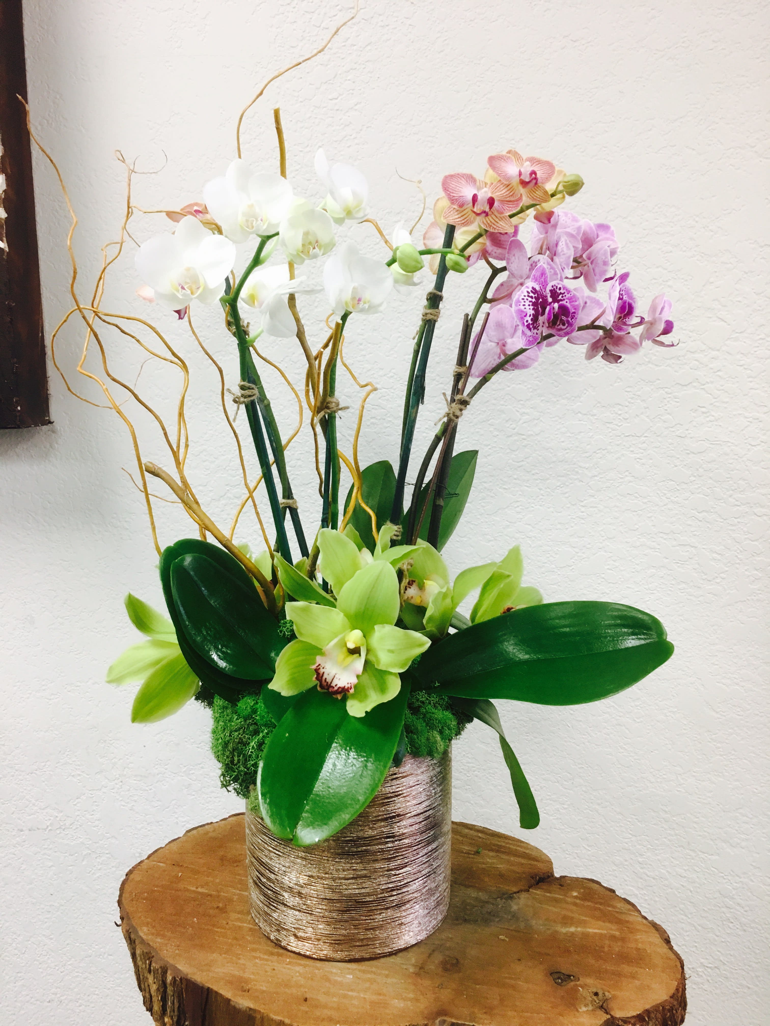 Mini Orchid Plant Arrangement By Natural Simplicity,Green Onion Vs Chives