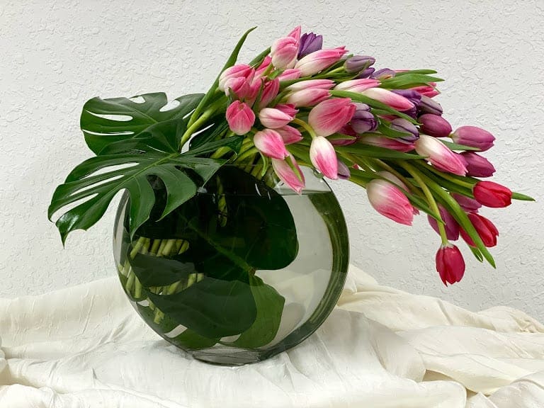 Tulip Crescent in Clearwater, FL | All About the Vase by ...