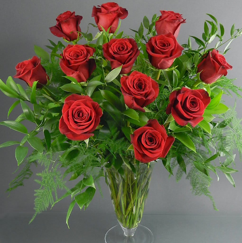 One Dozen Roses In Kansas City Mo Trapp Company