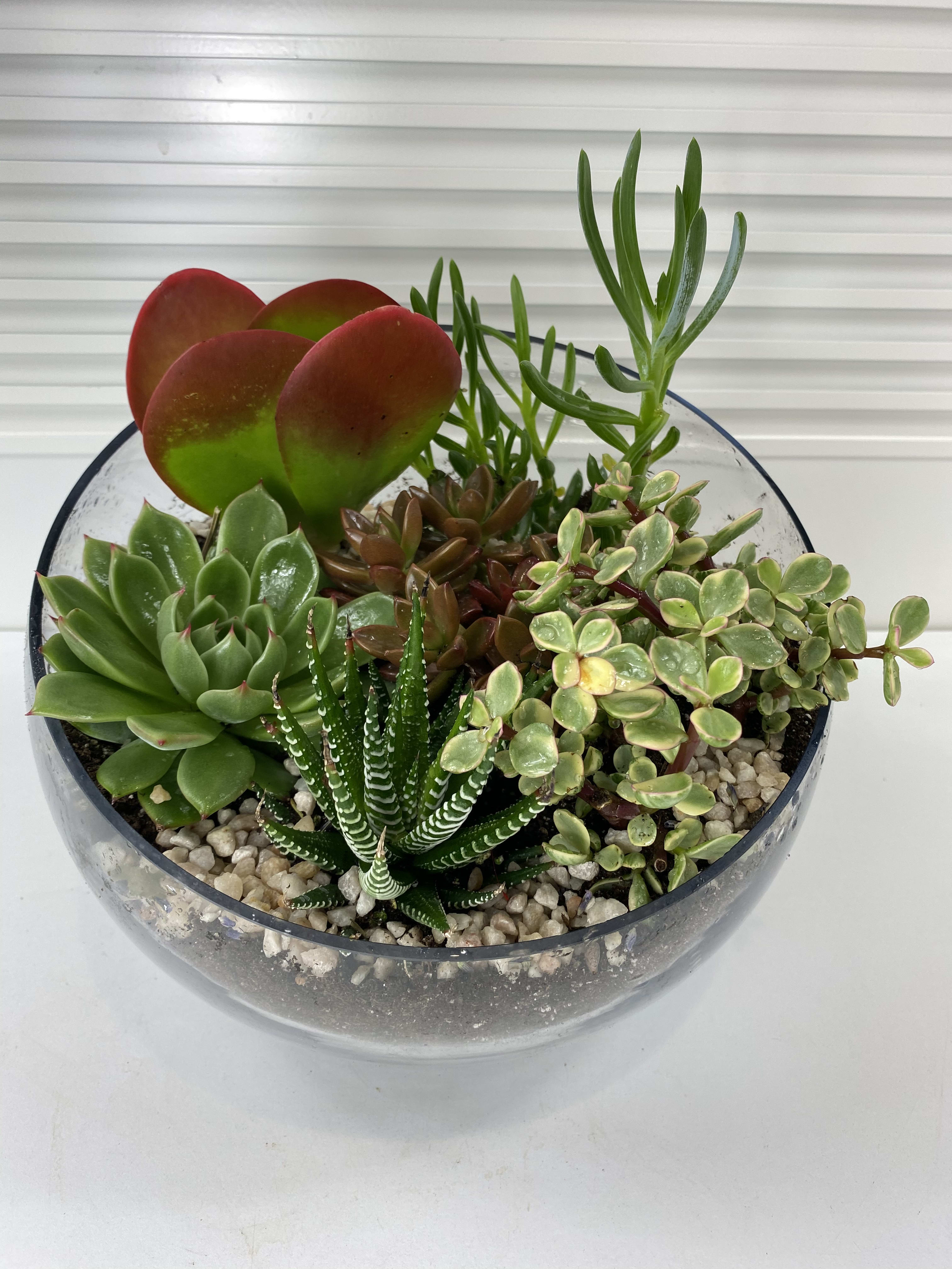 Desert Sun in Irvine, CA | OC Flowers and Events