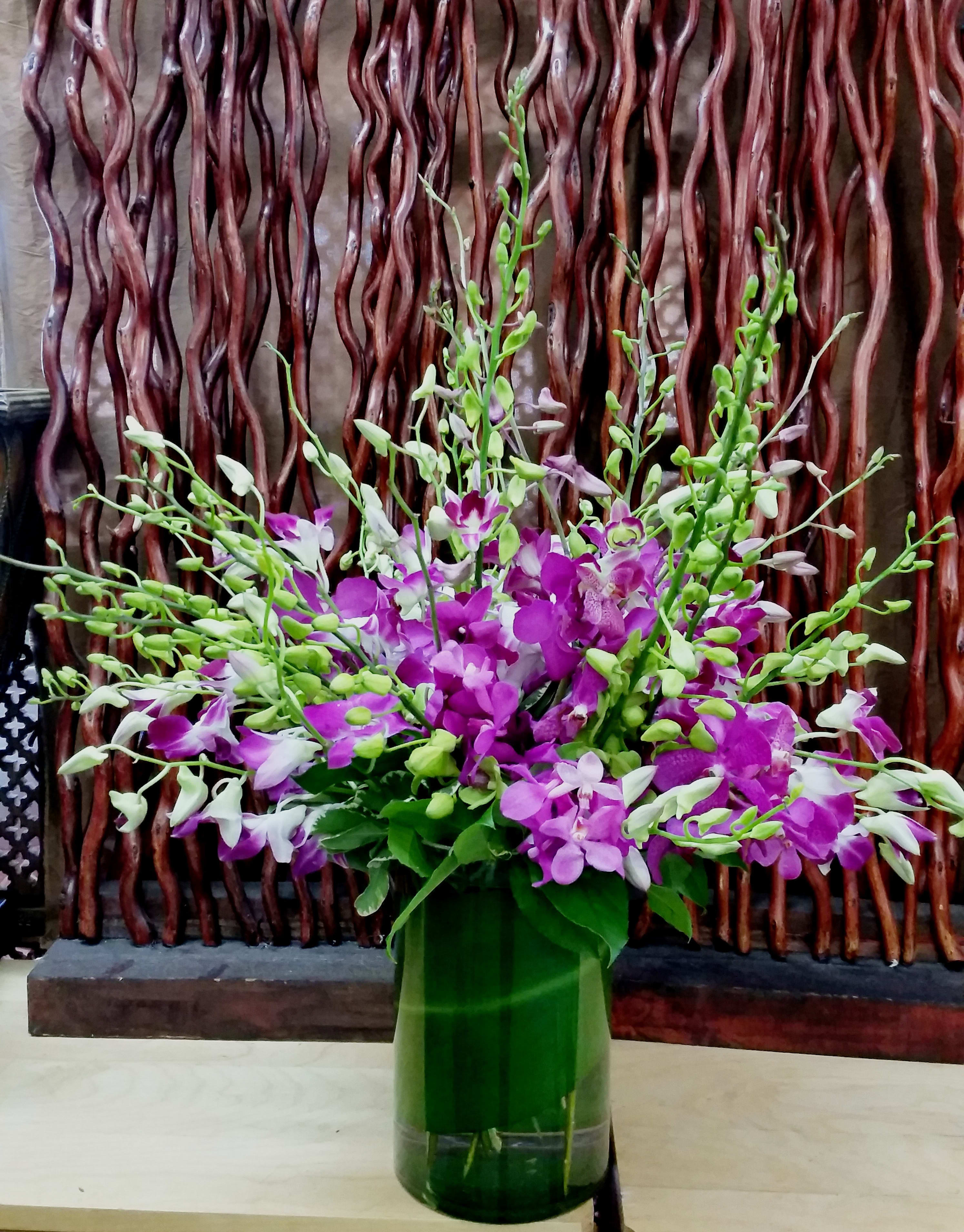 Dendrobium Orchid Abundance In Pasadena Ca Jacob Maarse Florists