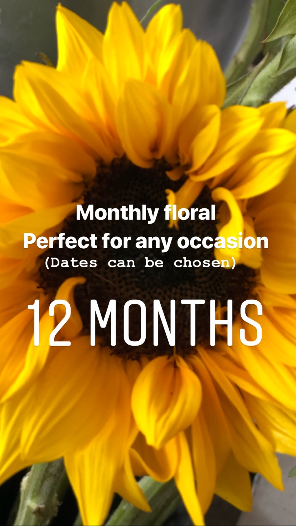 Flowers Delivered To Your Special Someone For A Year In Huntington Beach Ca Devynn S Garden