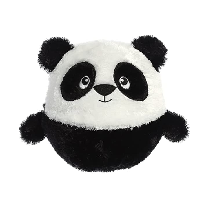 aurora panda bear
