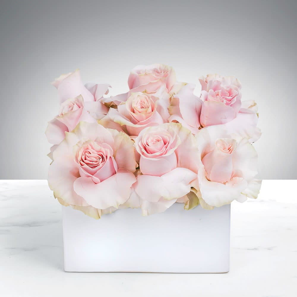 Marshmallow Dreams By Bloomnation In Sugar Land Tx Flowers By Adela
