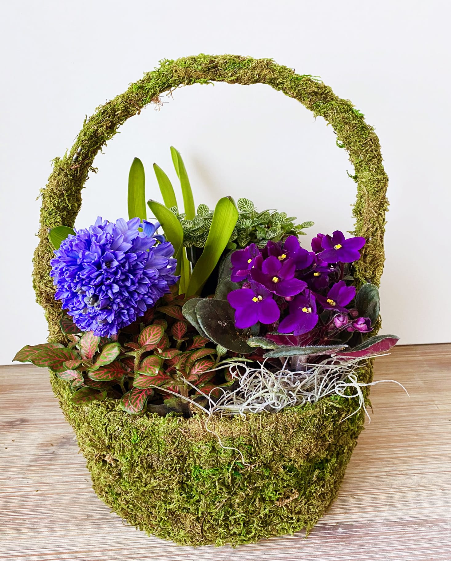 Moss basket full of plants in Washington, DC Shoots and Blooms of D.C.