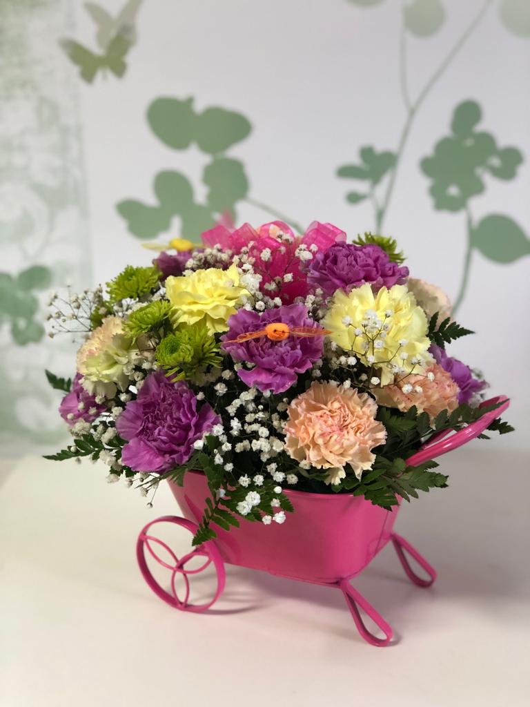 Carnation cart in orlando, FL | Andrea's Flowers