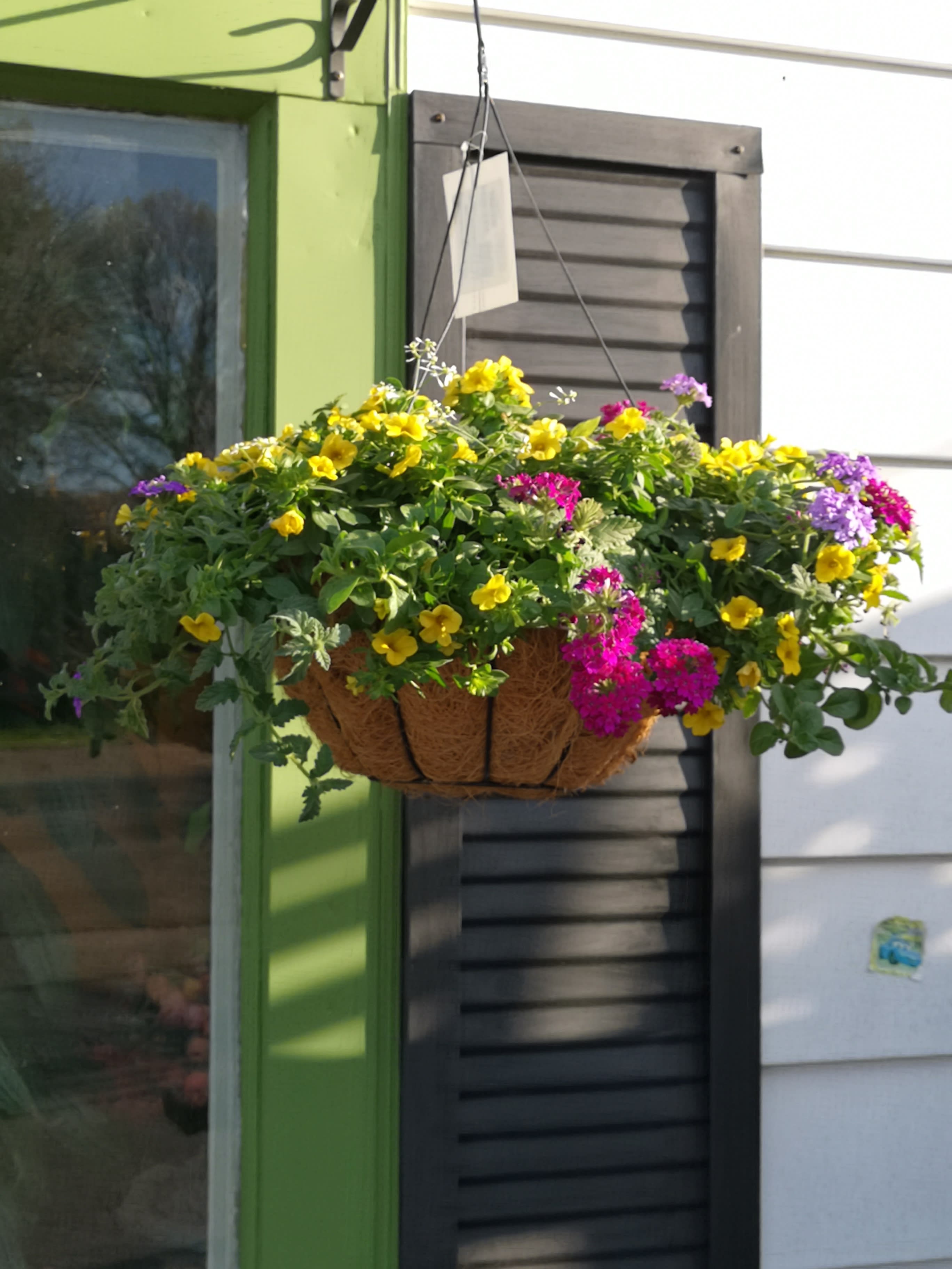 send a plant for mother's day
