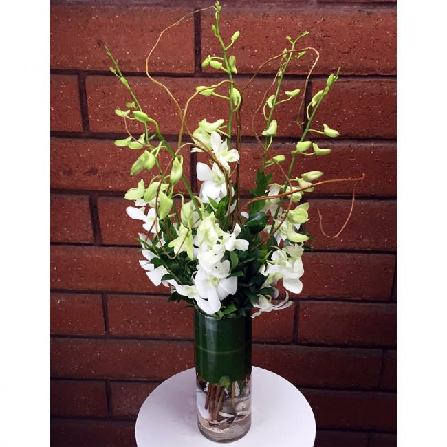 Dendrobium White Orchids Vase In San Diego Ca House Of Stemms