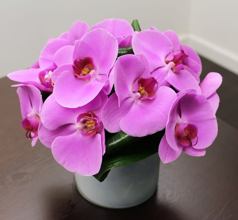 Orchid Bouquet By Big Apple Florist