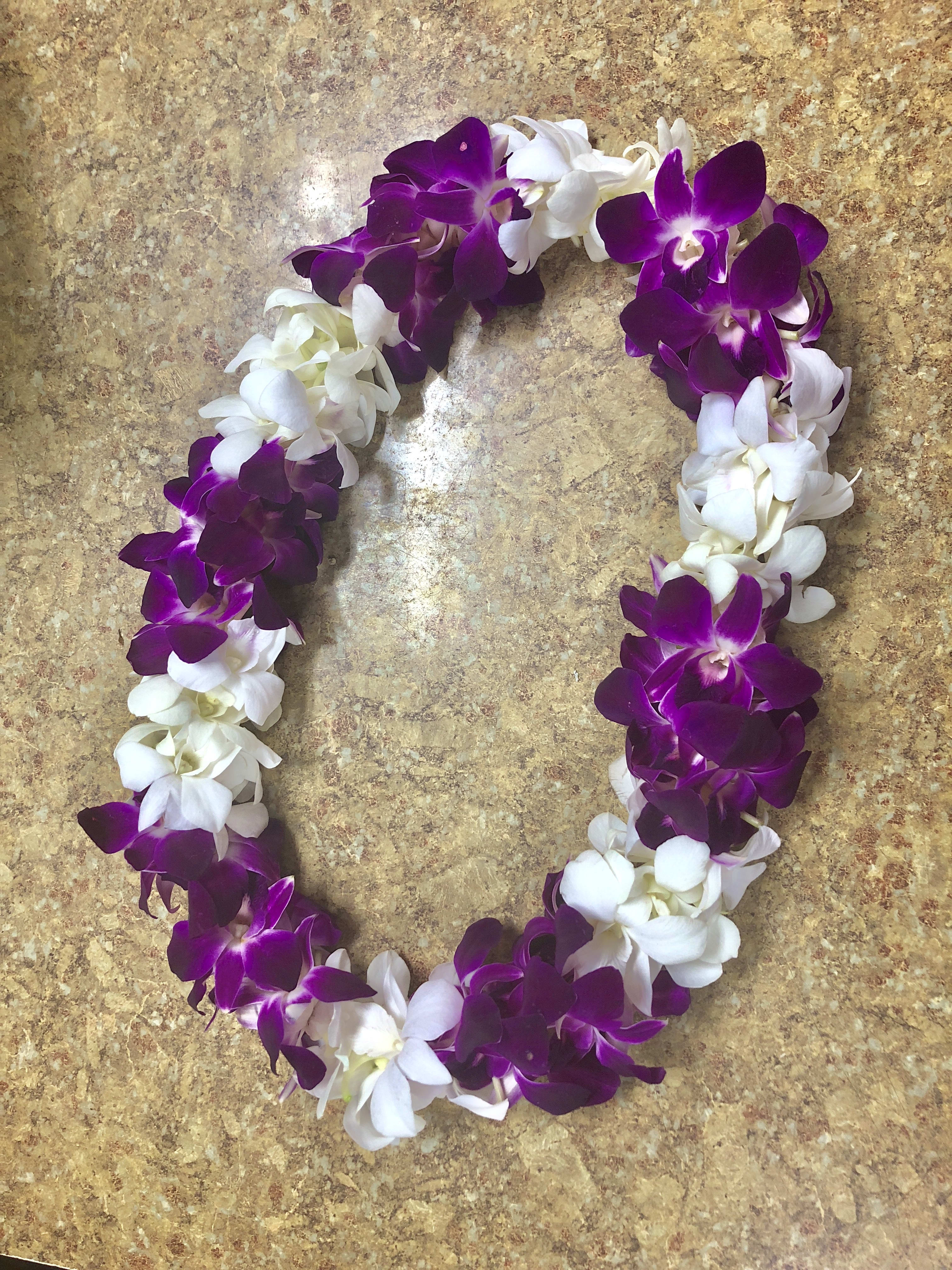 Orchid Lei Bi Colored In San Diego Ca Del Mar Floral Gifts