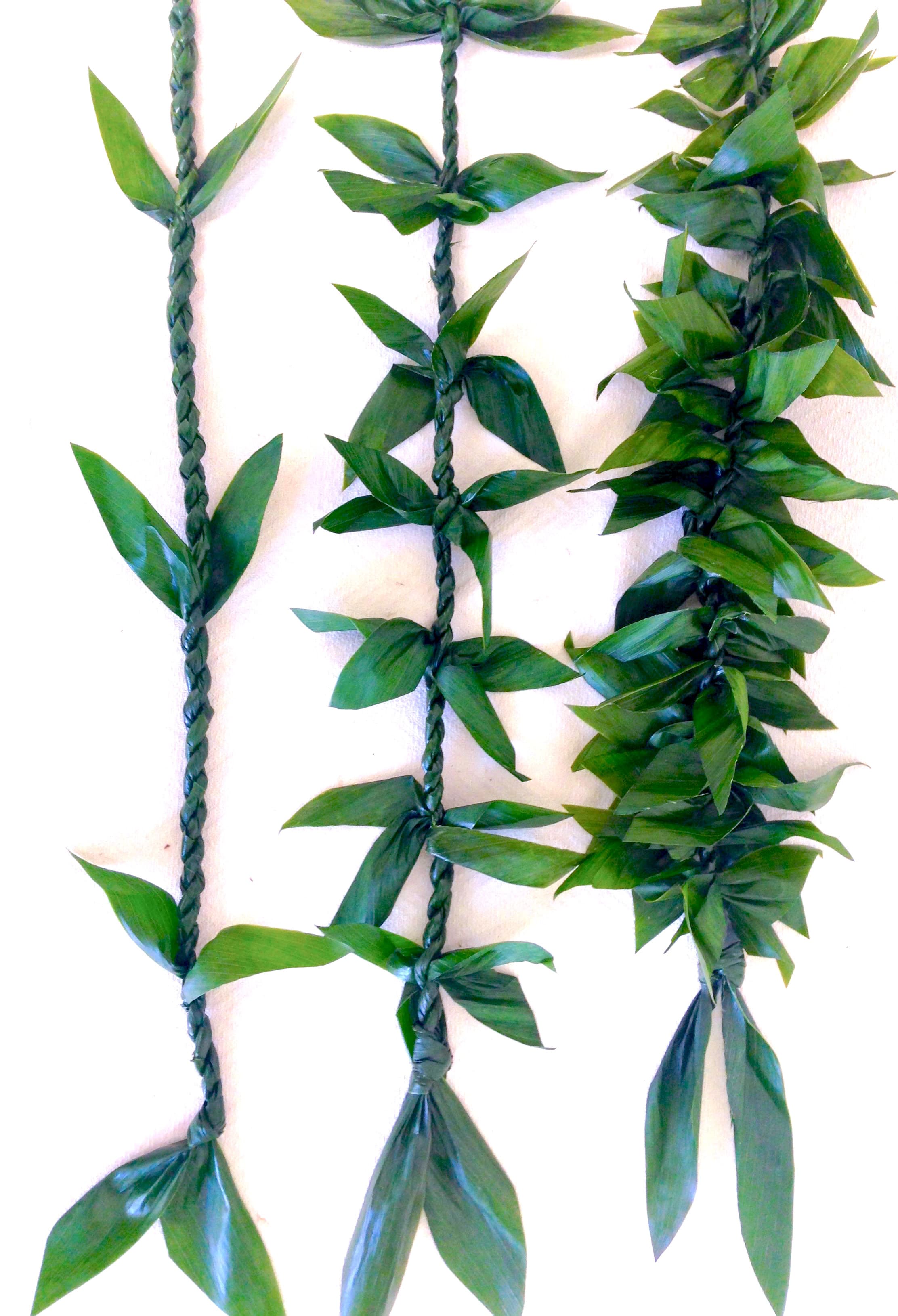 Ti Leaf Lei In Costa Mesa Ca Island Florals