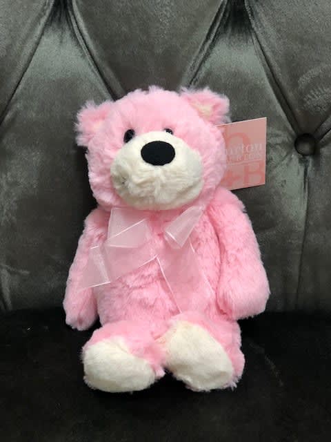 small pink teddy