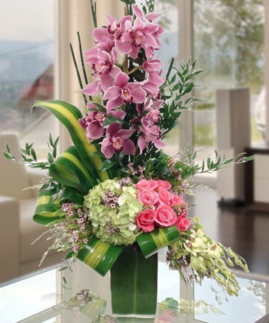 Mother S Day Dazzle With Orchids Delivery Norfolk Virginia In Norfolk Va Julian S Flowers