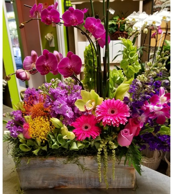 Exotic Orchid Garden In La Habra Ca Louis Gardens Florist